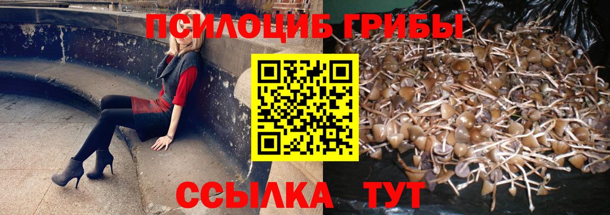 Галлюциногенные грибы мухоморы  Вход с VPN  Балашиха 